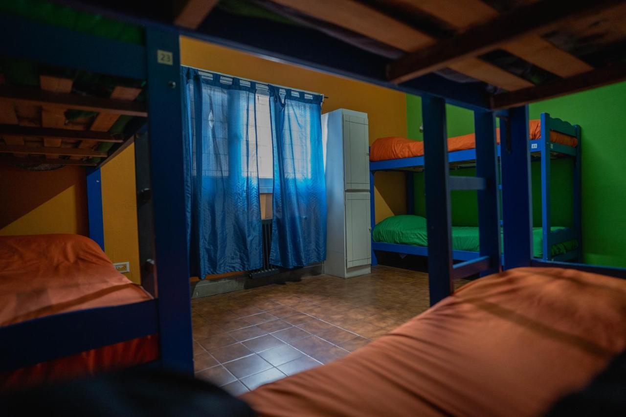 Alhue Patagonia Hostel San Martín de los Andes Εξωτερικό φωτογραφία