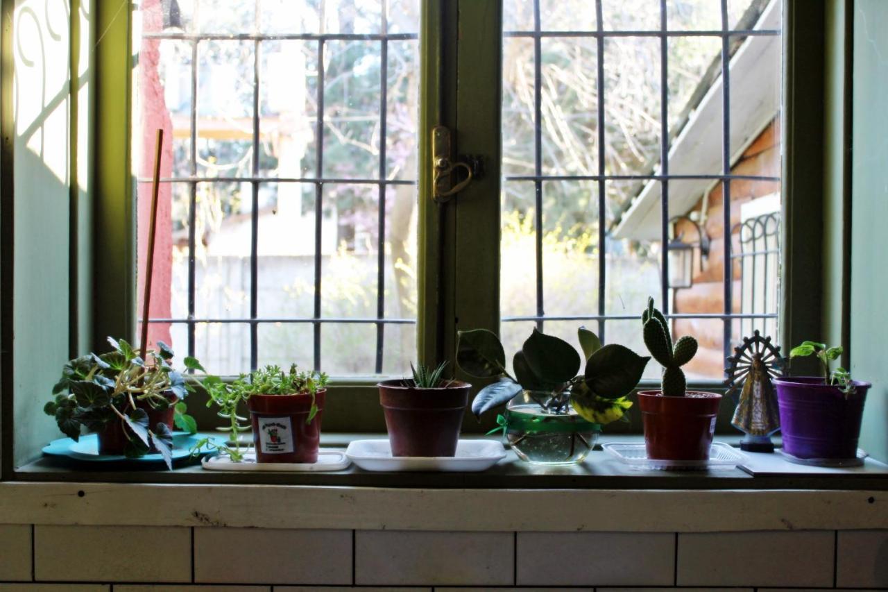 Alhue Patagonia Hostel San Martín de los Andes Εξωτερικό φωτογραφία