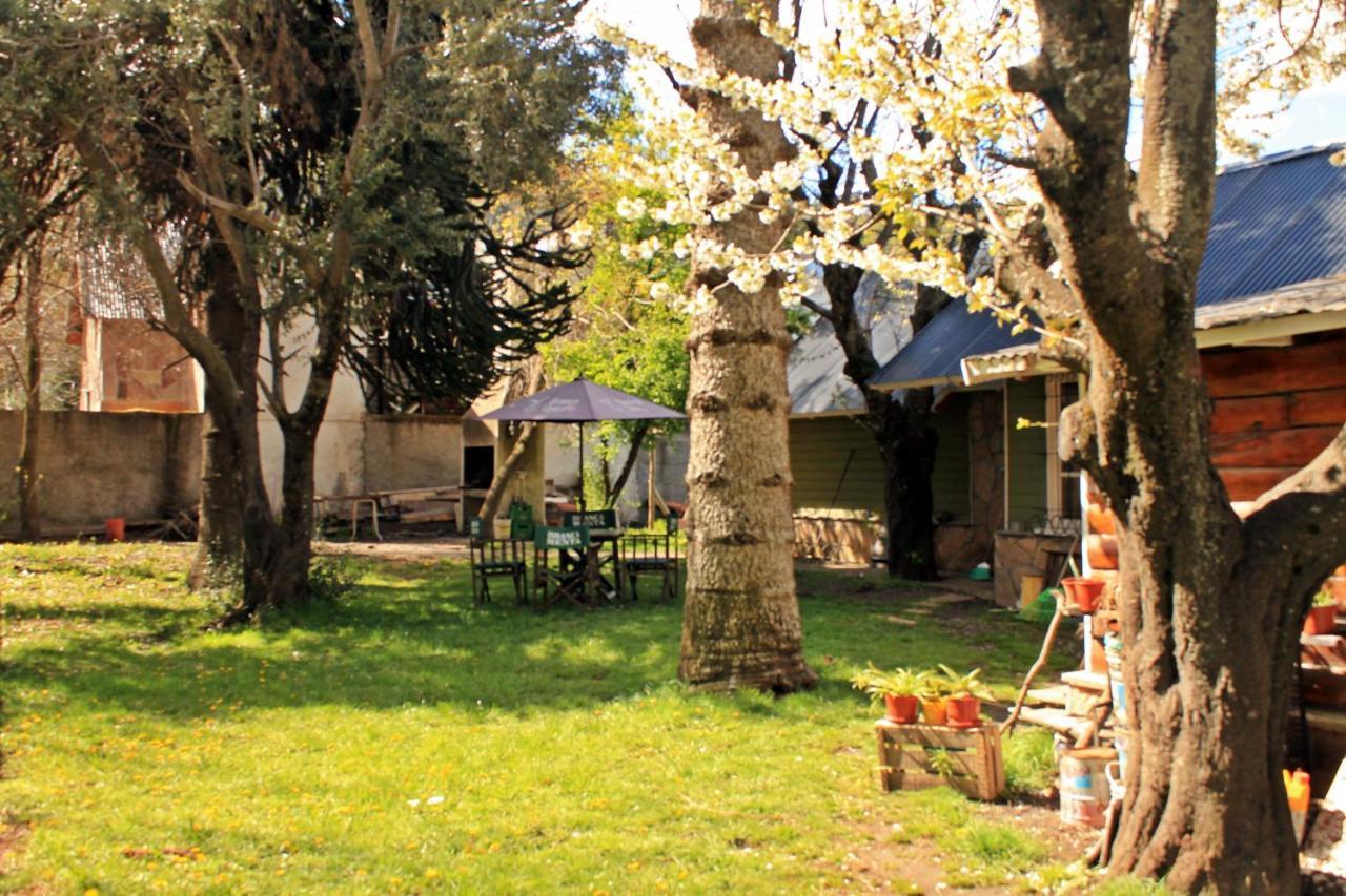 Alhue Patagonia Hostel San Martín de los Andes Εξωτερικό φωτογραφία