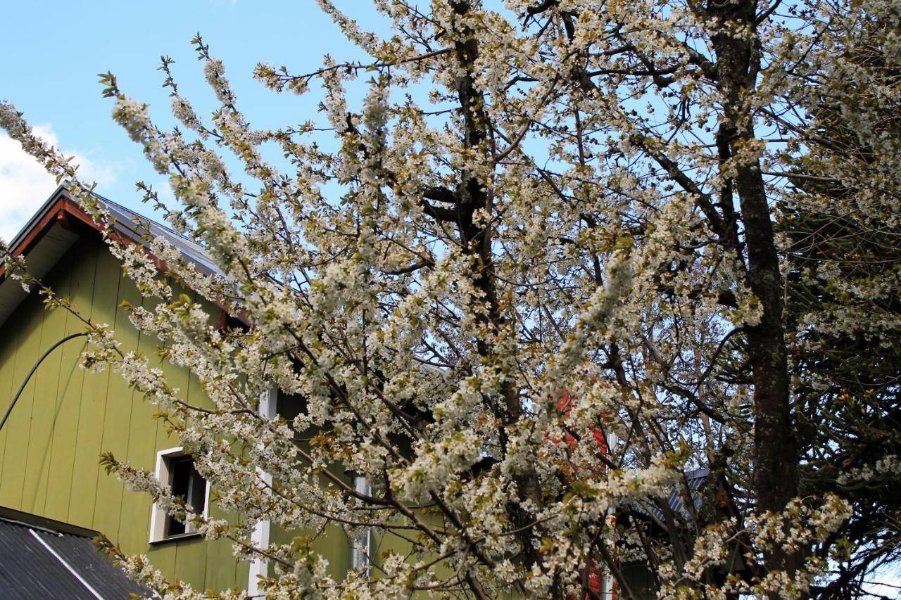 Alhue Patagonia Hostel San Martín de los Andes Εξωτερικό φωτογραφία